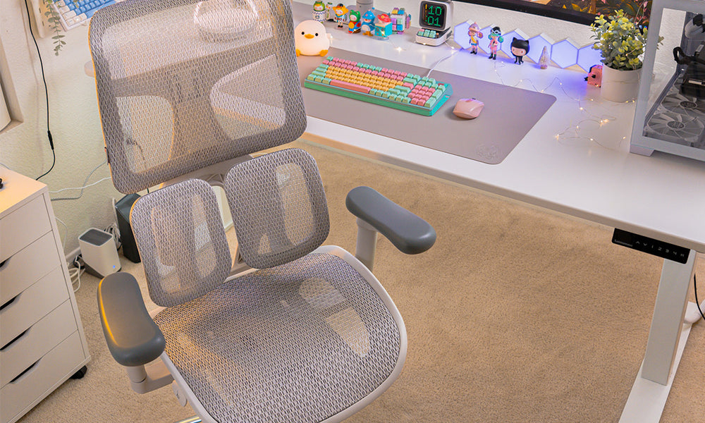 Should Students Splurge on the Sihoo Doro S100 Ergonomic Chair?