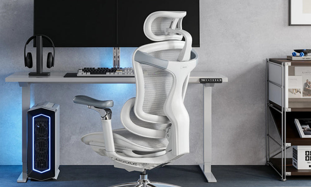 The Ultimate Guide to Ergonomic Office Chairs