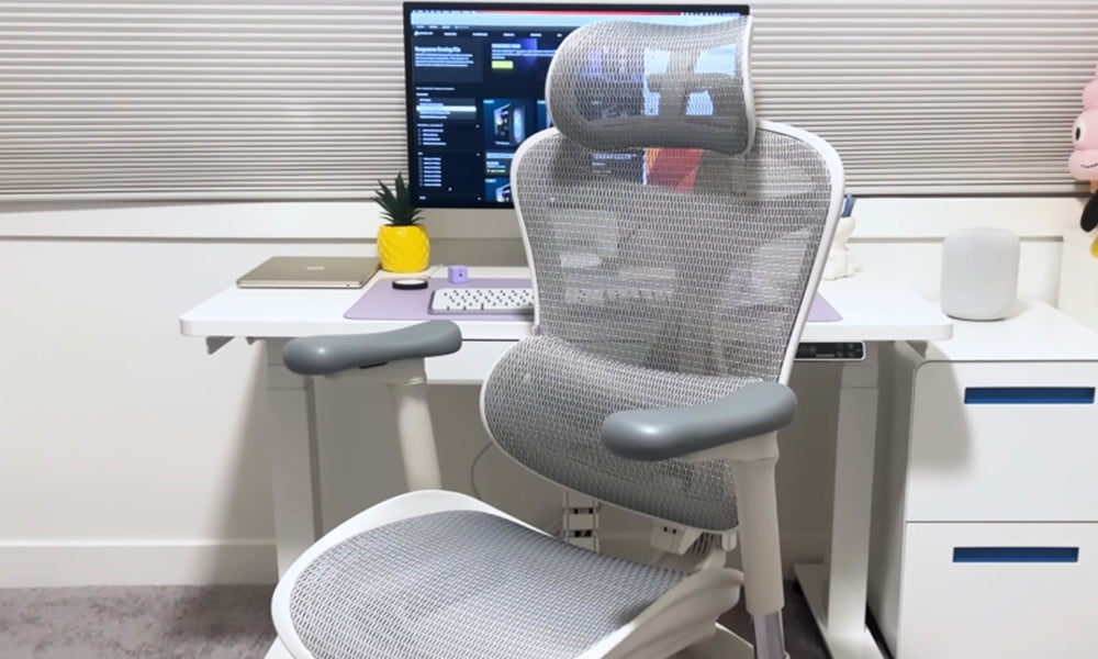 Sihoo Doro C300 : A Comfortable Investment for Your Well-Being