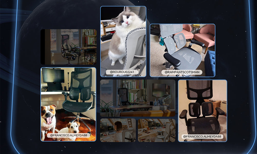 Sihoo S series buyer show activities continue to share