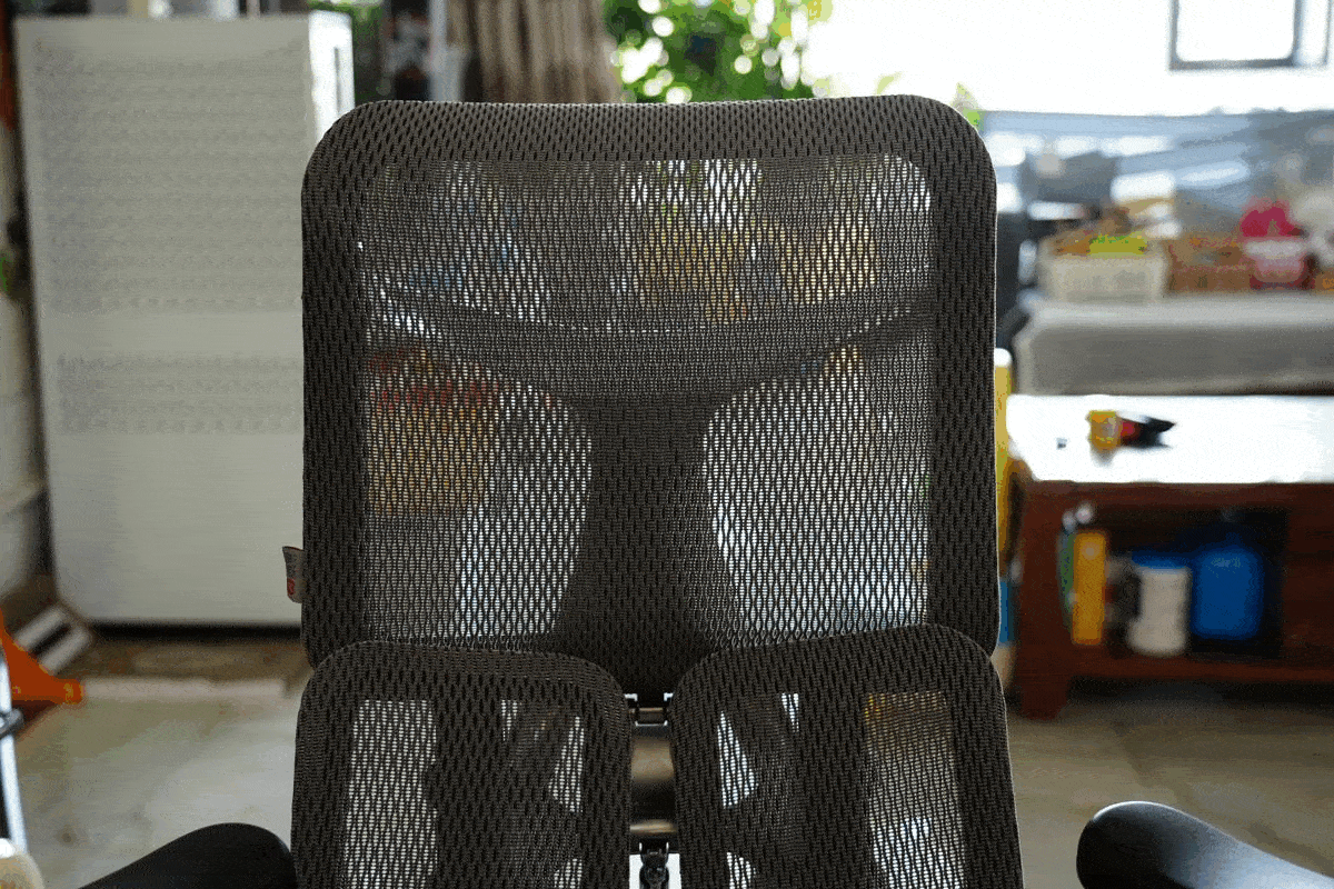 The Eco-Friendly Features of the Sihoo Doro S300