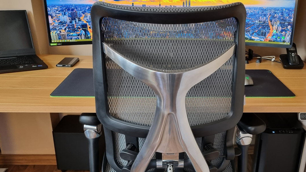 Unlocking Ergonomic Bliss: Sihoo Doro S300 Chair
