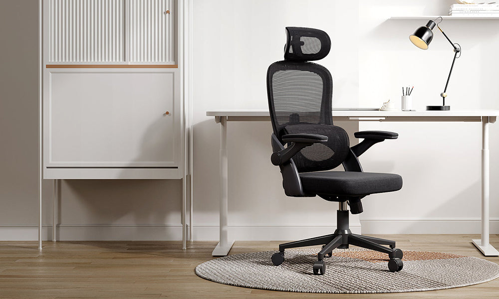 The Sihoo M102C Chair