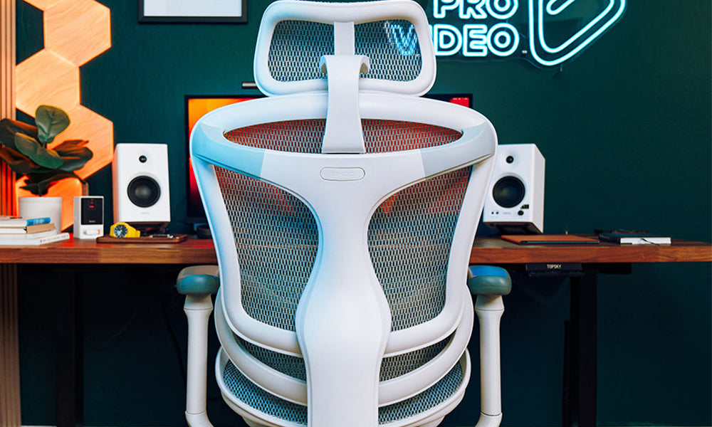 SIHOO Doro C300 Office Chair