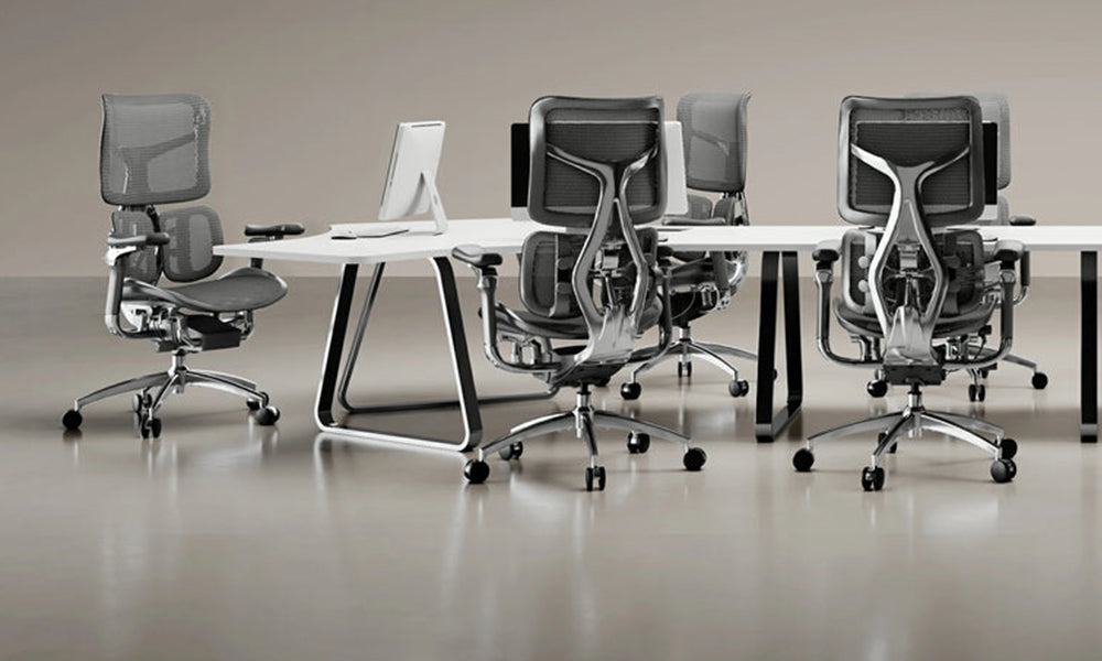 The Customer Reviews and Testimonials of the Sihoo Doro S300 Ergonomic Office Chair