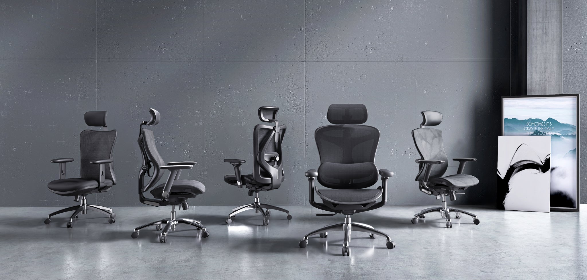 Sihoo Ergonomic Office Chairs - Unparalleled Comfort and Support for  Productivity
