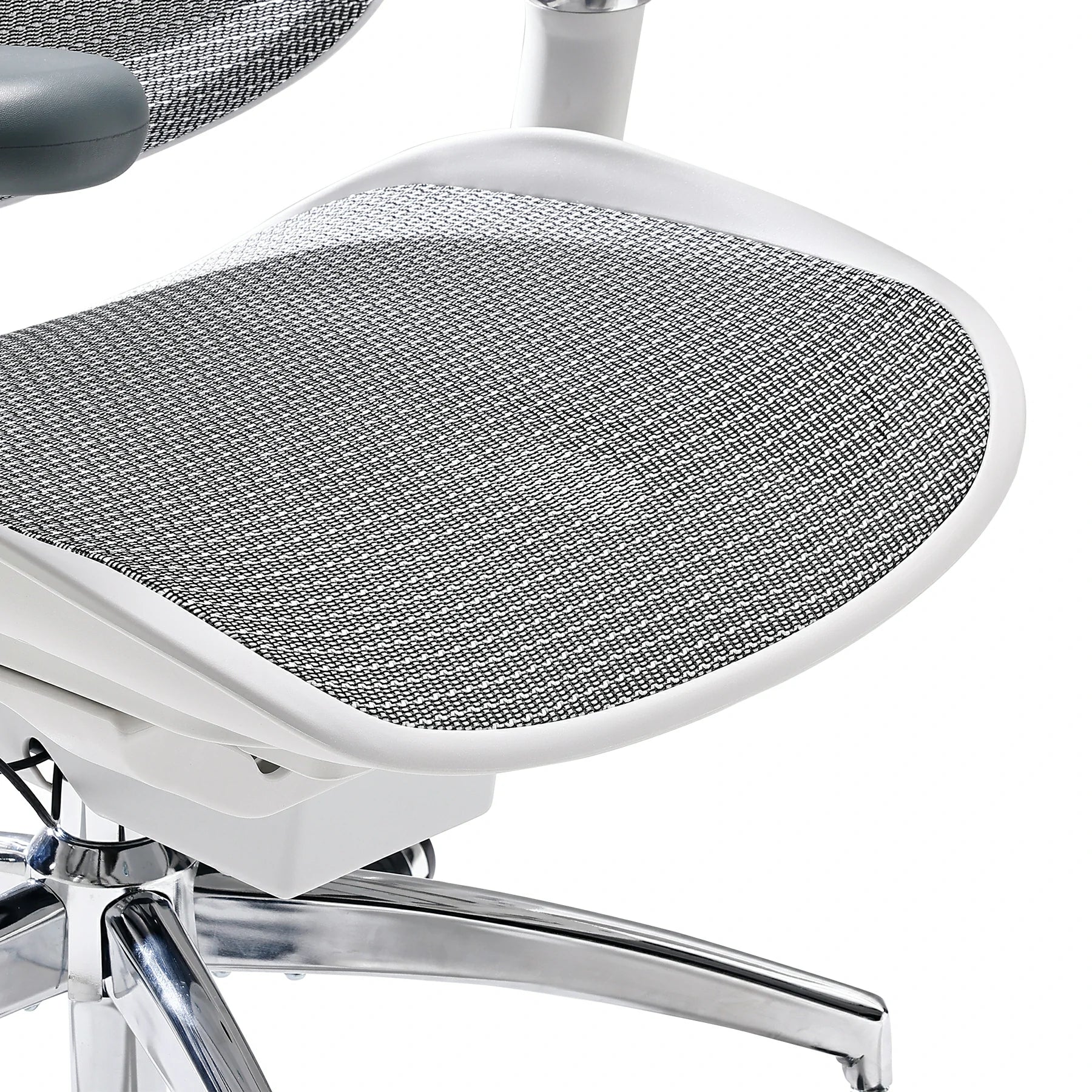 Sihoo Doro C300 Pro Ergonomic Chair