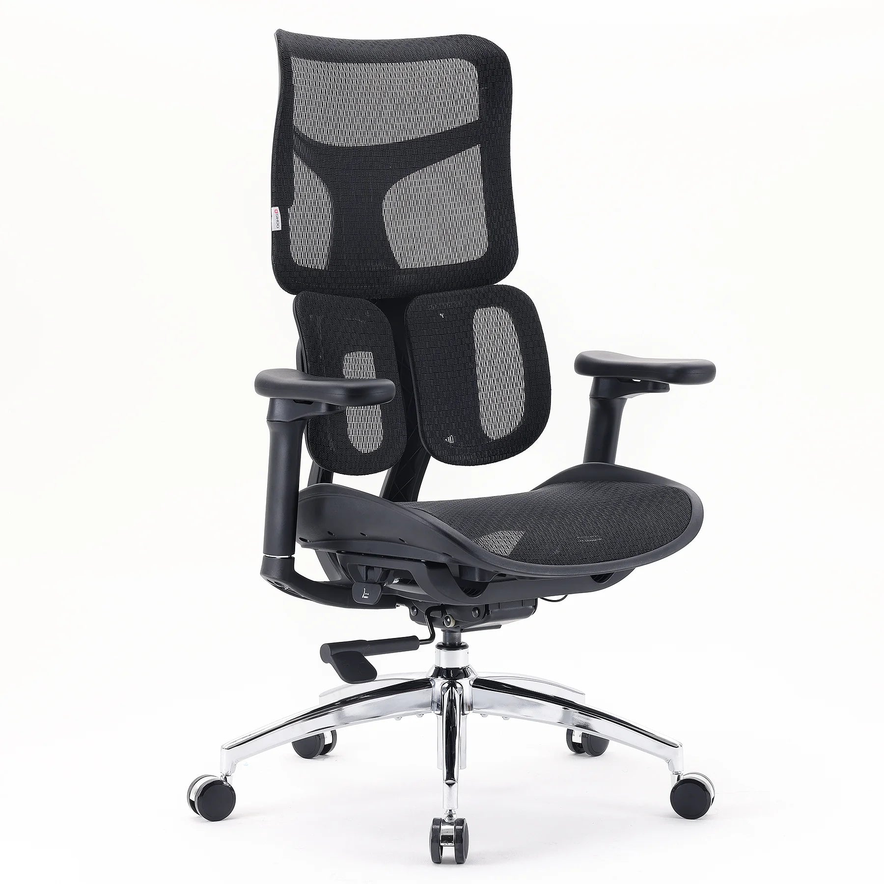 Sihoo Doro S100 Ergonomischer Office -Stuhl mit dynamischer Lumbalunterstützung