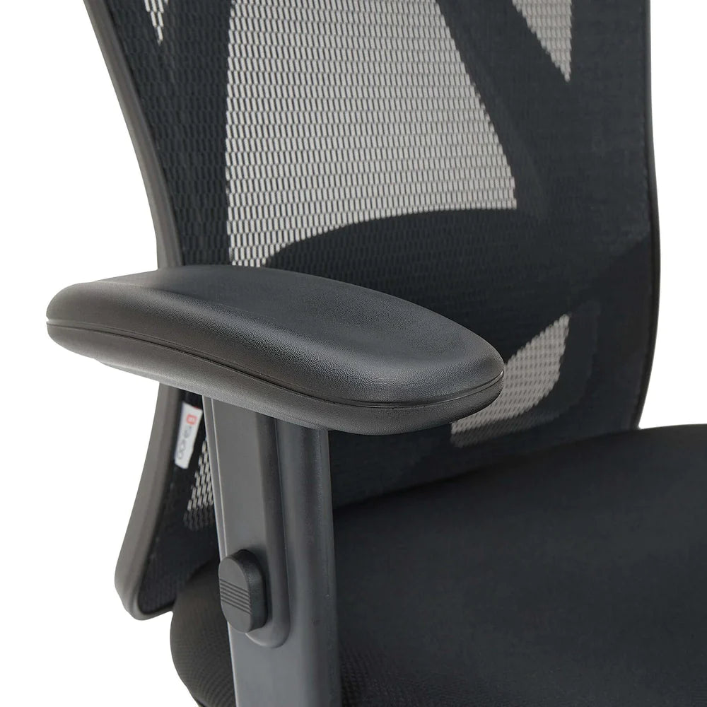 Sihoo M18 Classic Office Chair With Triple Spinal Relief