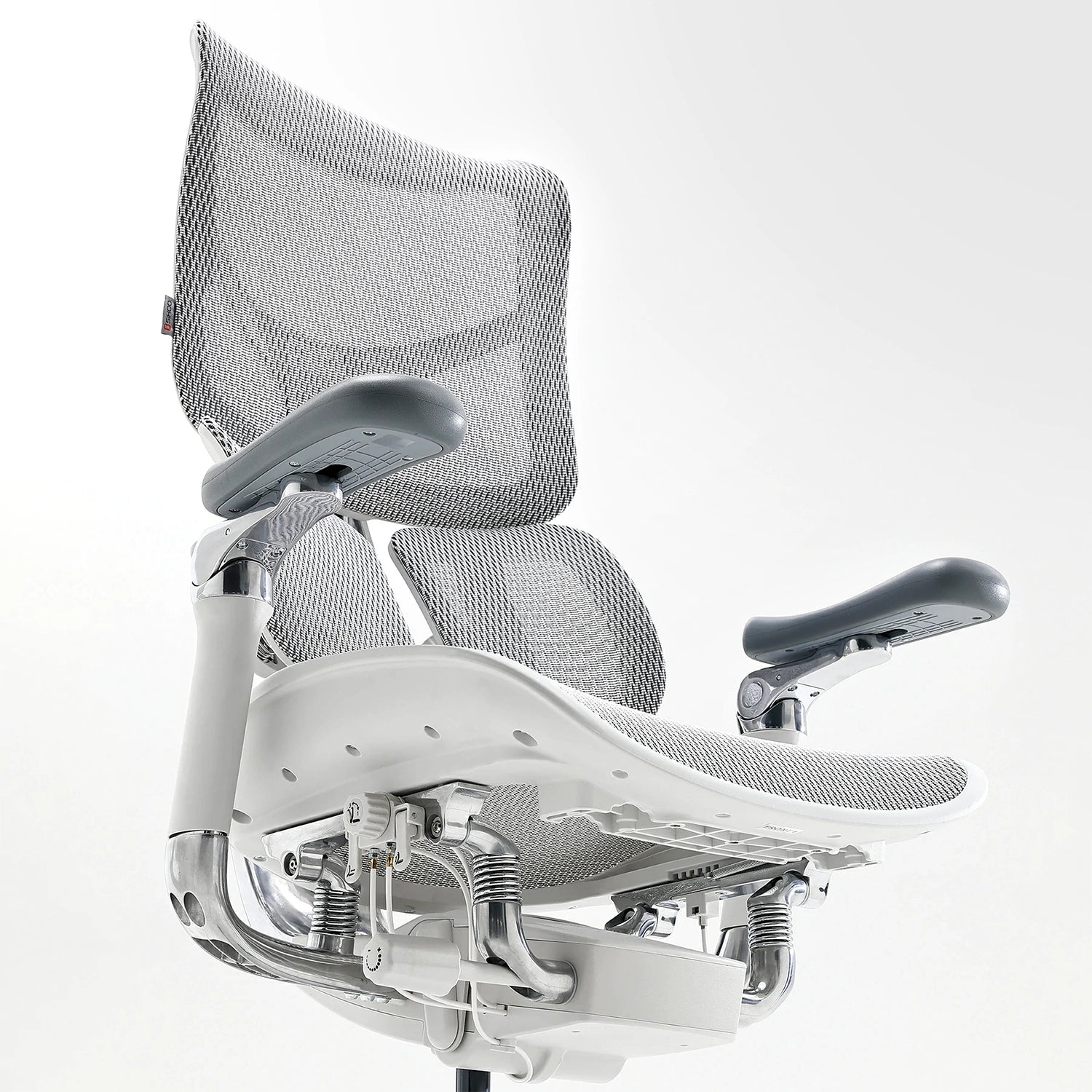 Ergonomic Duo (Sihoo Doro S300 + Sihoo D03)