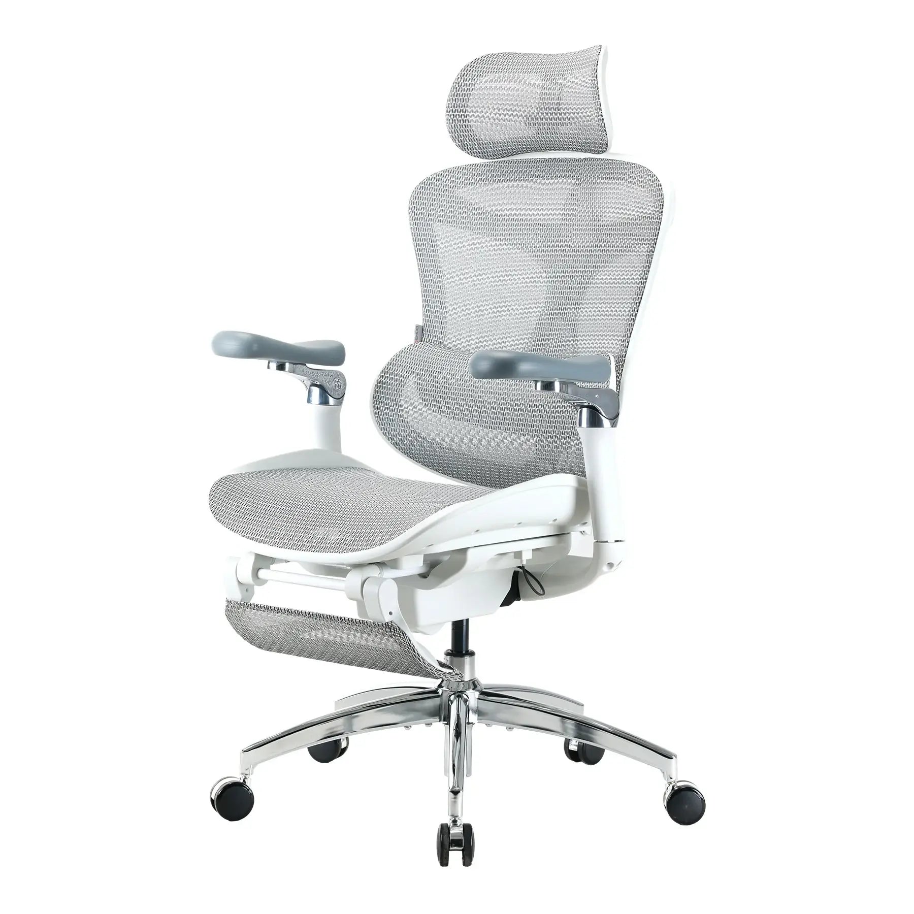 Sihoo Doro C300 Pro Ergonomic Chair