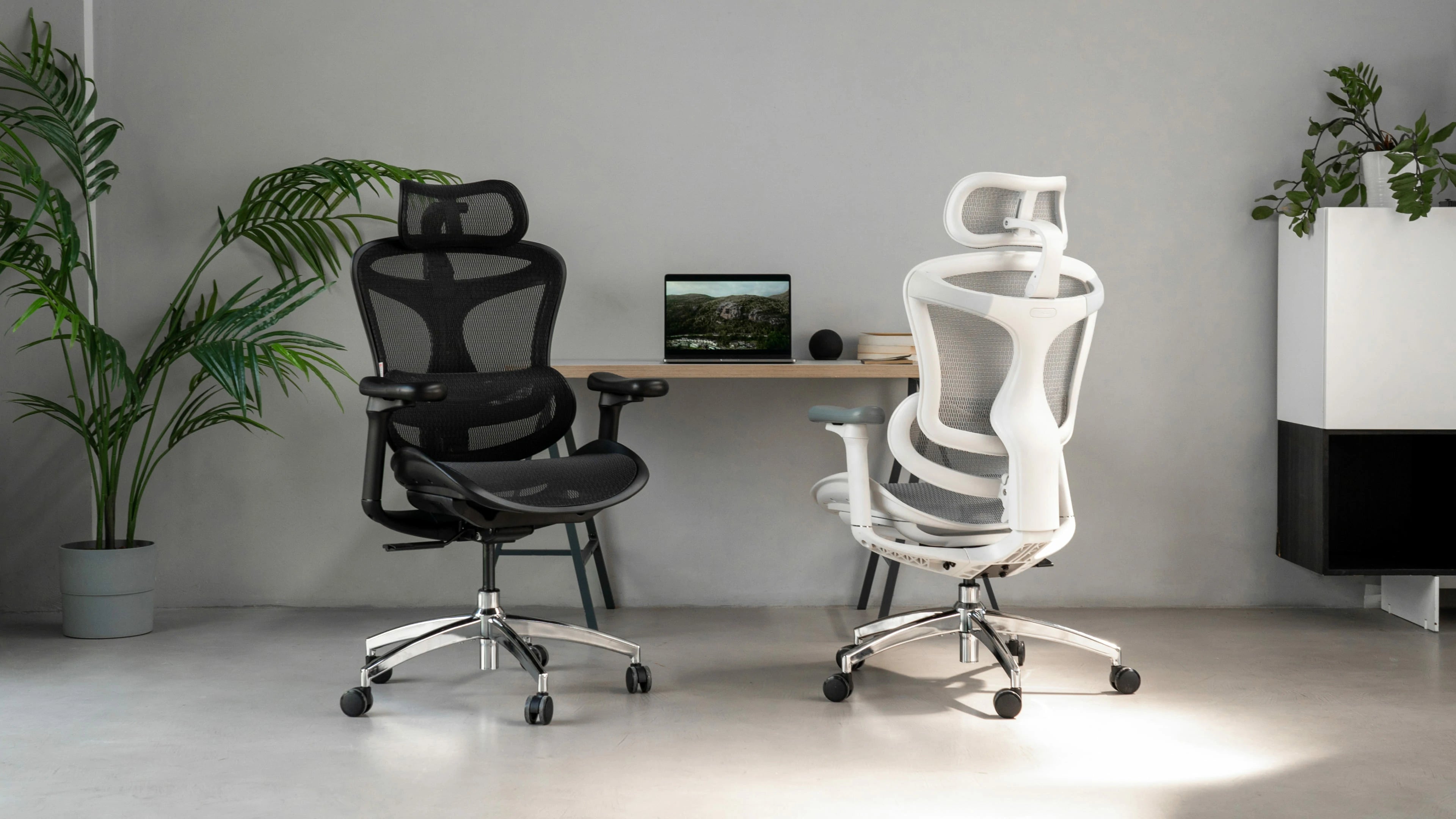 Ergonomic Chairs