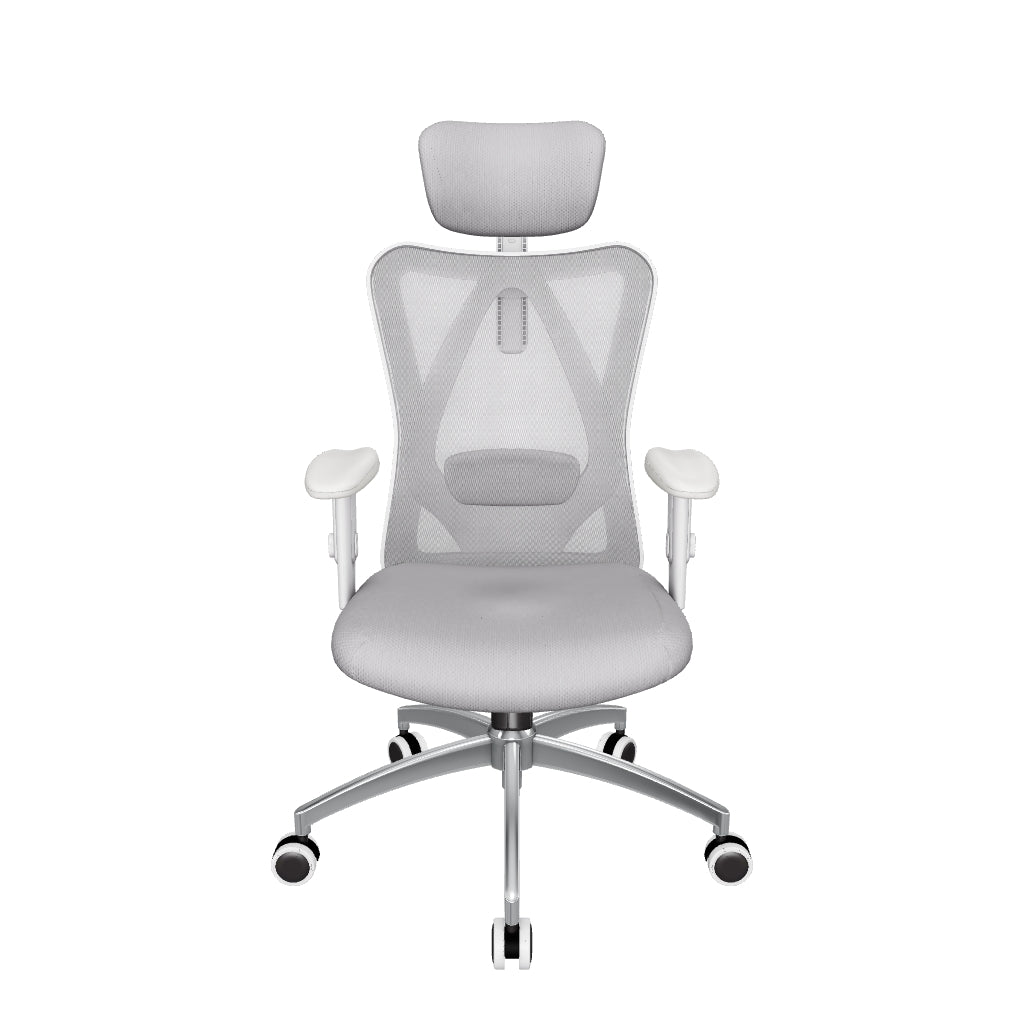 Sihoo M18 Classic Office Chair With Triple Spinal Relief