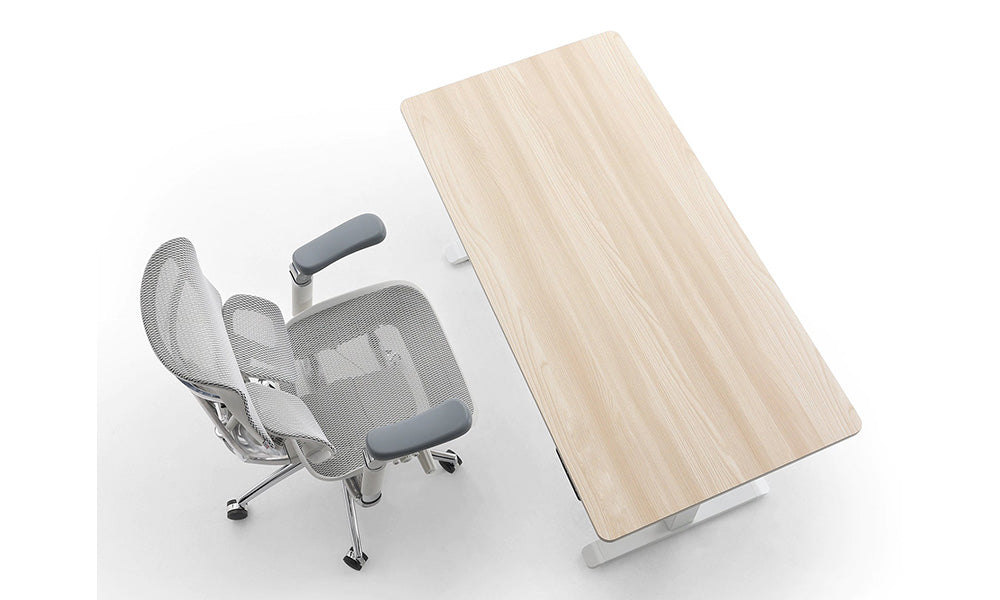 Sihoo D03: The Ultimate Height Adjustable Standing Desk under $300