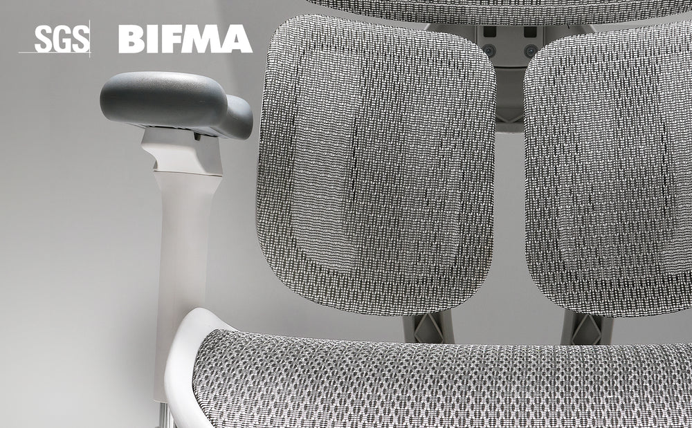 Elevating Office Comfort with Dynamic Lumbar Support