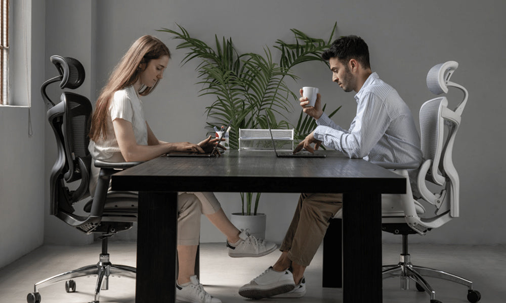Discover All-Day Comfort with the Sihoo Doro C300 Office Chair
