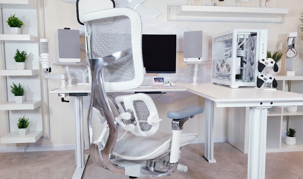 Can Ergonomic Office Chairs Increase Workplace Productivity?