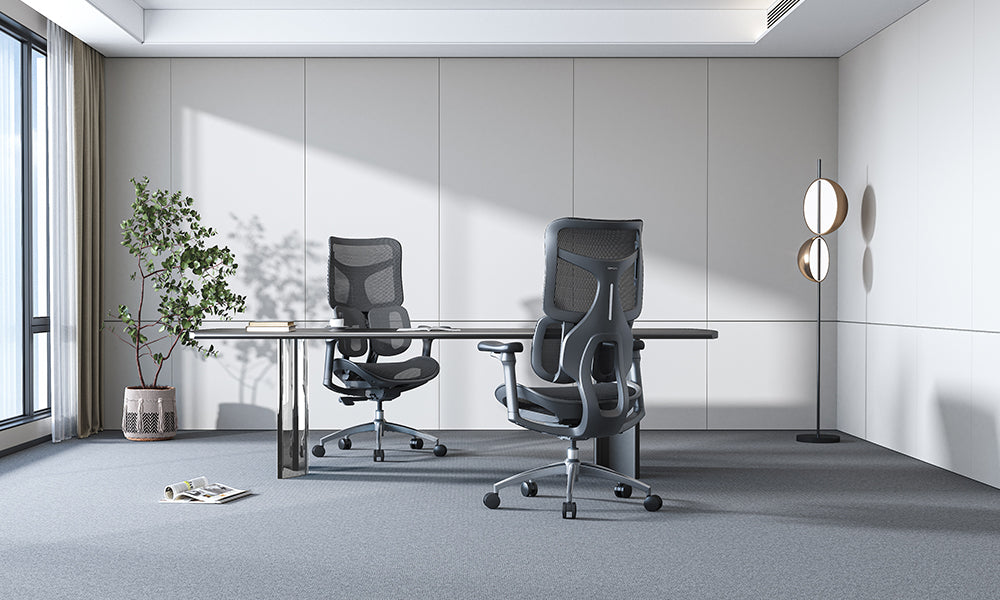 Dual Dynamic Lumbar Support and Ergonomic Brilliance in Office Seating