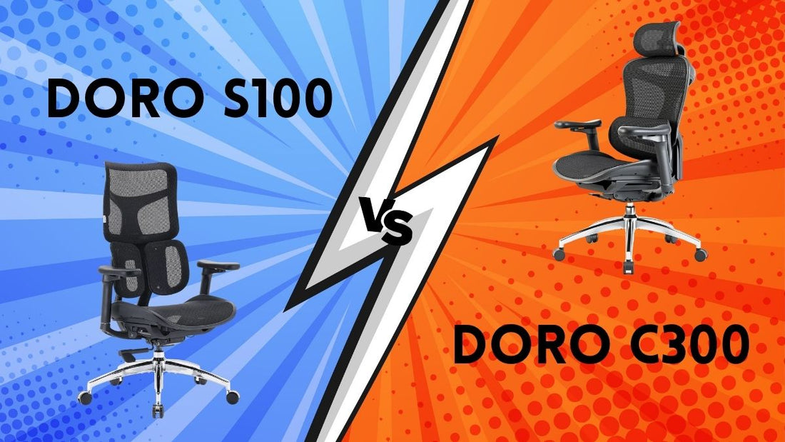Sihoo Doro C300 vs S100