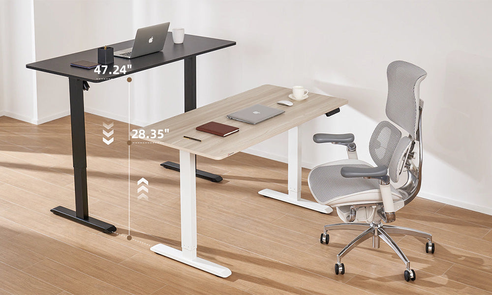Selecting the Perfect Standing Desk and Why the Sihoo D03 Could Be the Answer
