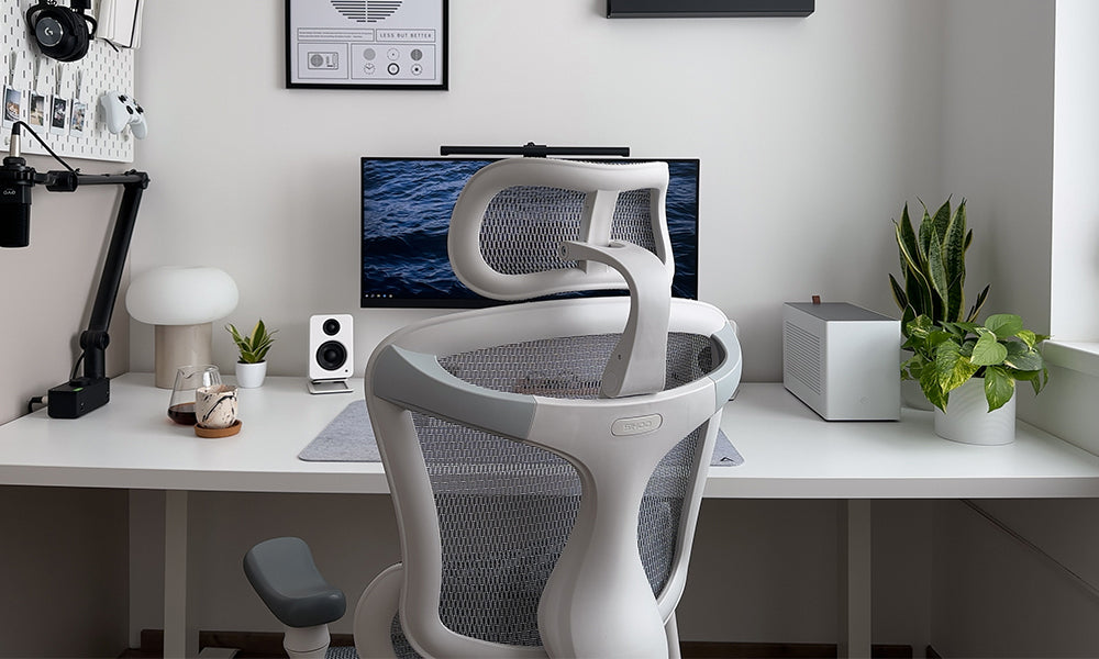 Enhance Your SIHOO Doro C300 Chair