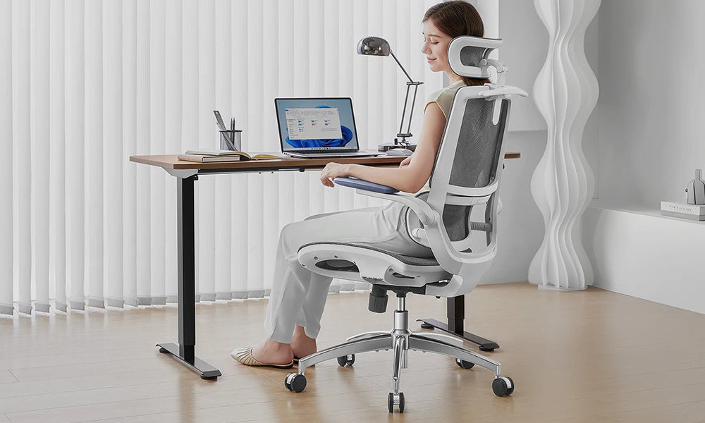 Exclusive €100 OFF: What's Special with Our Brand New Sihoo M59AS Chair