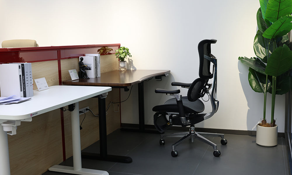 Are Expensive Ergonomic Chairs Worth the Investment?