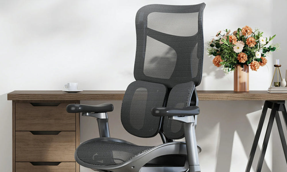 Sihoo Doro S100 Elevating Your Workspace with Style and Comfort