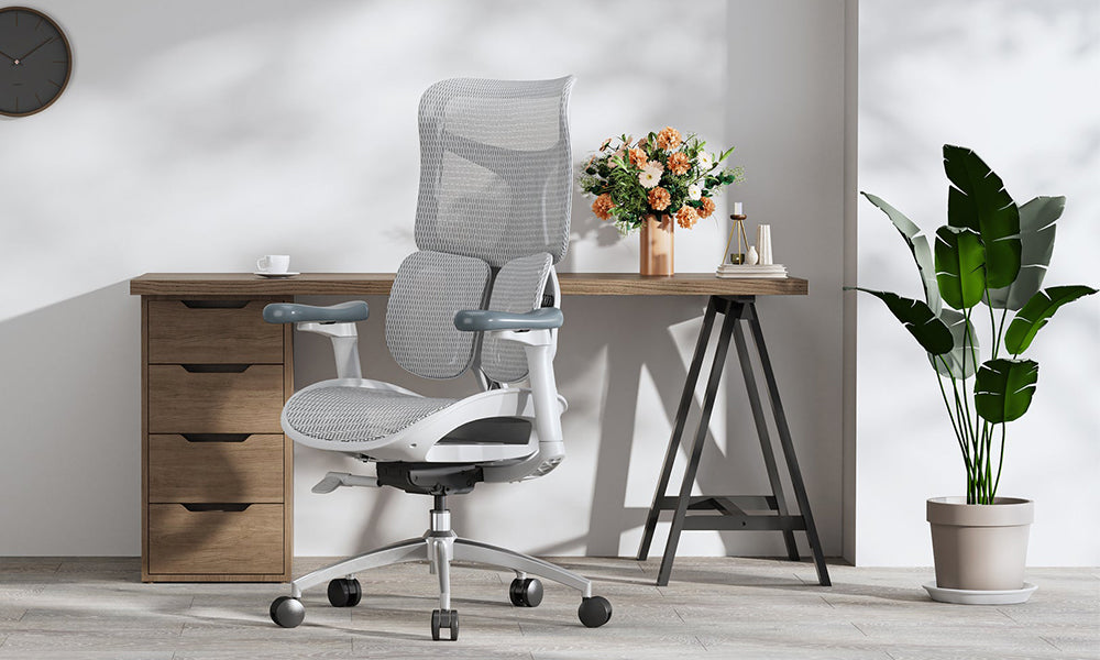 Top 3 Sihoo Office Chairs Designed to Alleviate Back Pain in 2024