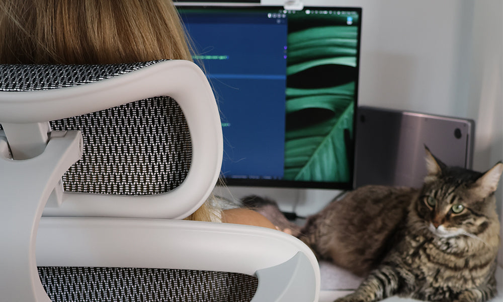 Sihoo Doro C300: The Comfiest Chair Ever Made