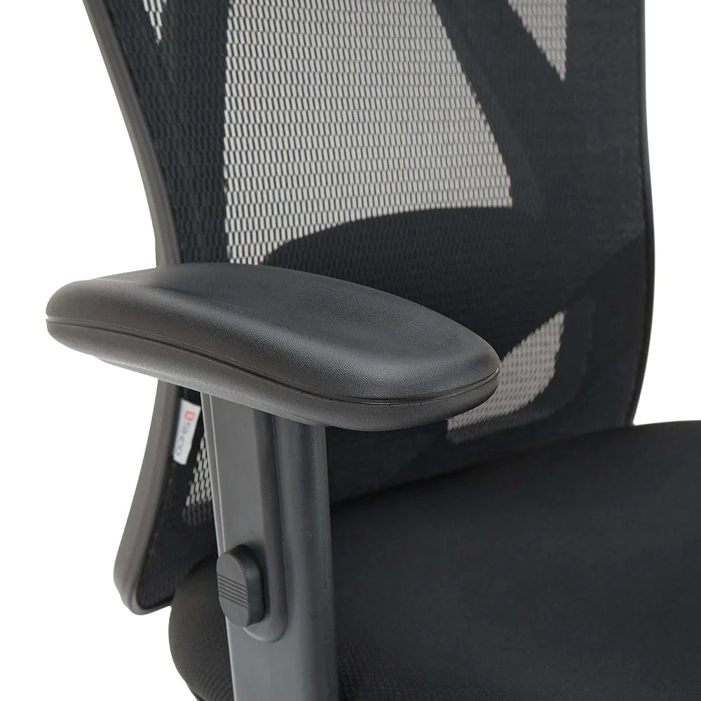 Pre Sale - Sihoo M18 Classic Office Chair With Triple Spinal Relief