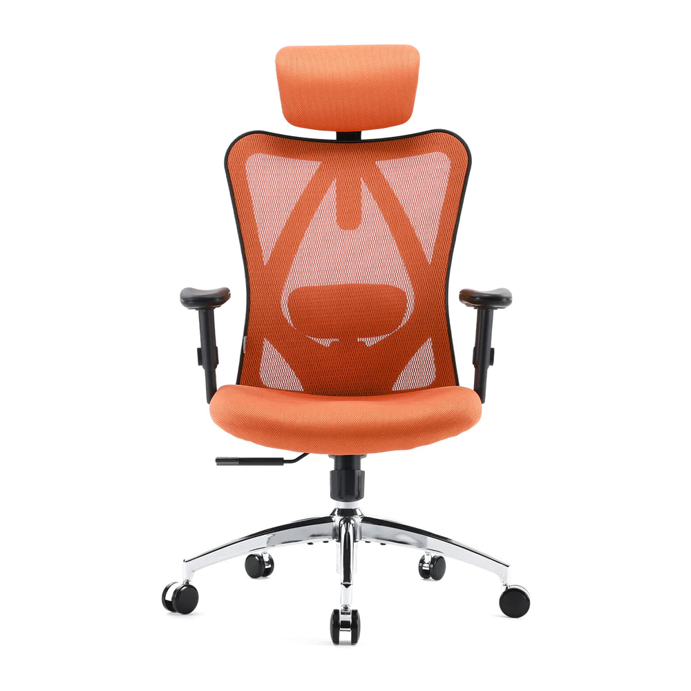 Sihoo outlet m18 chair