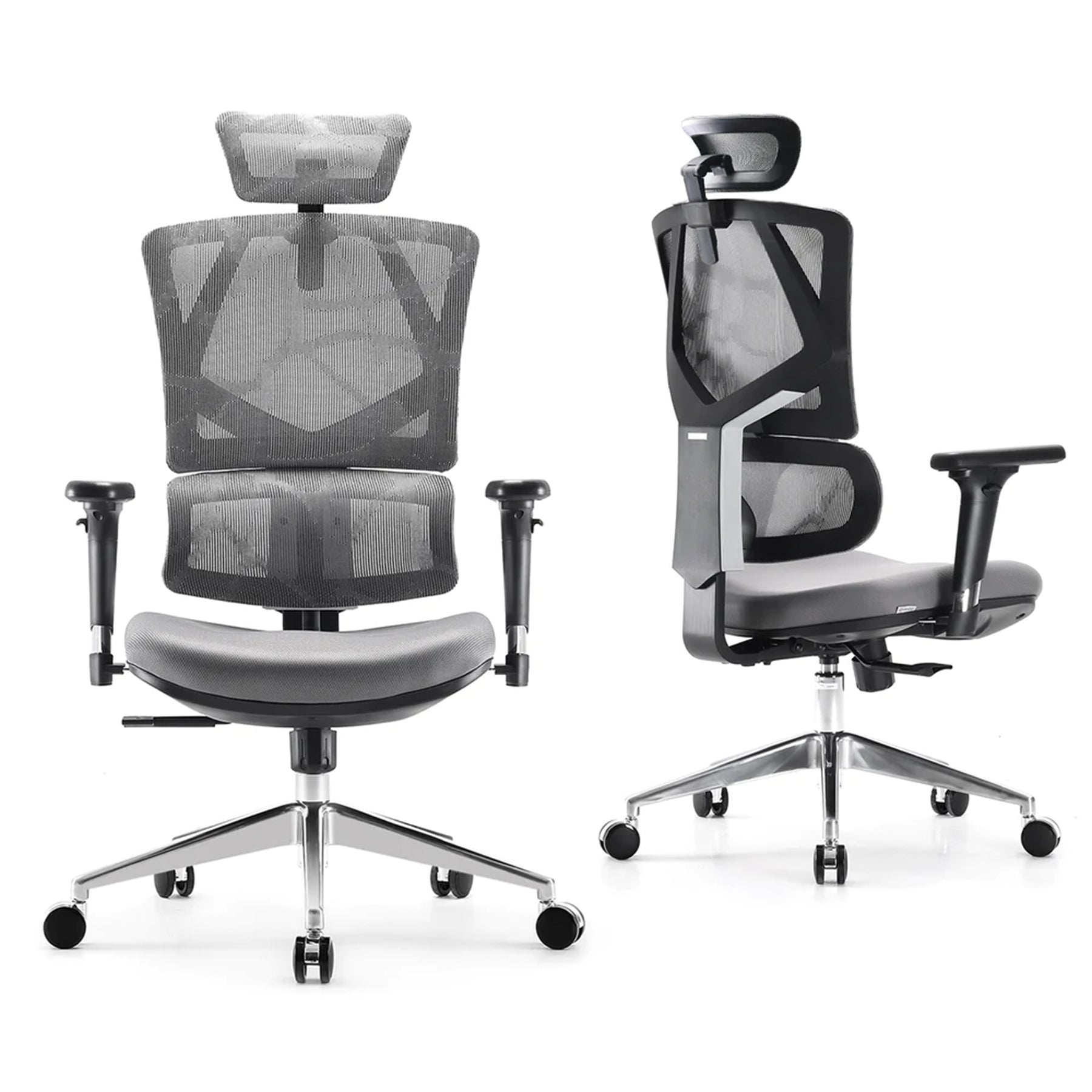 Sihoo M90D Ergnonomic Office Chair with Dynamic Lumbar Support