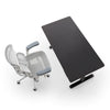 Sihoo D03 Electric Height Adjustable Standing Desk