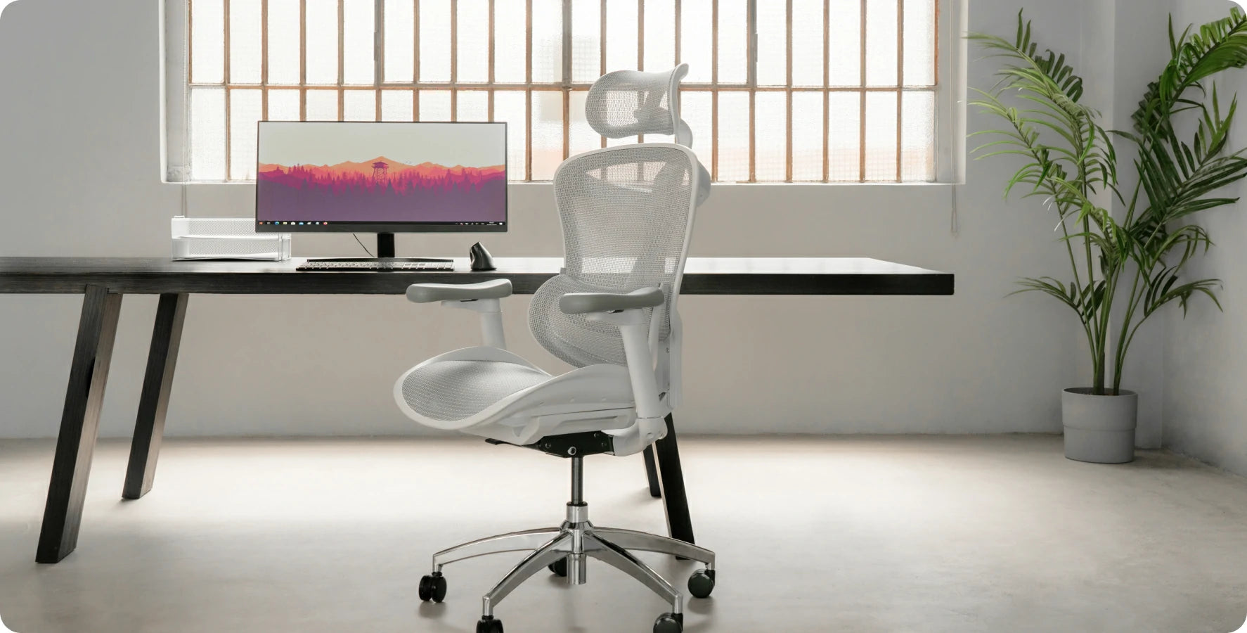 Sihoo Ergonomic Chairs