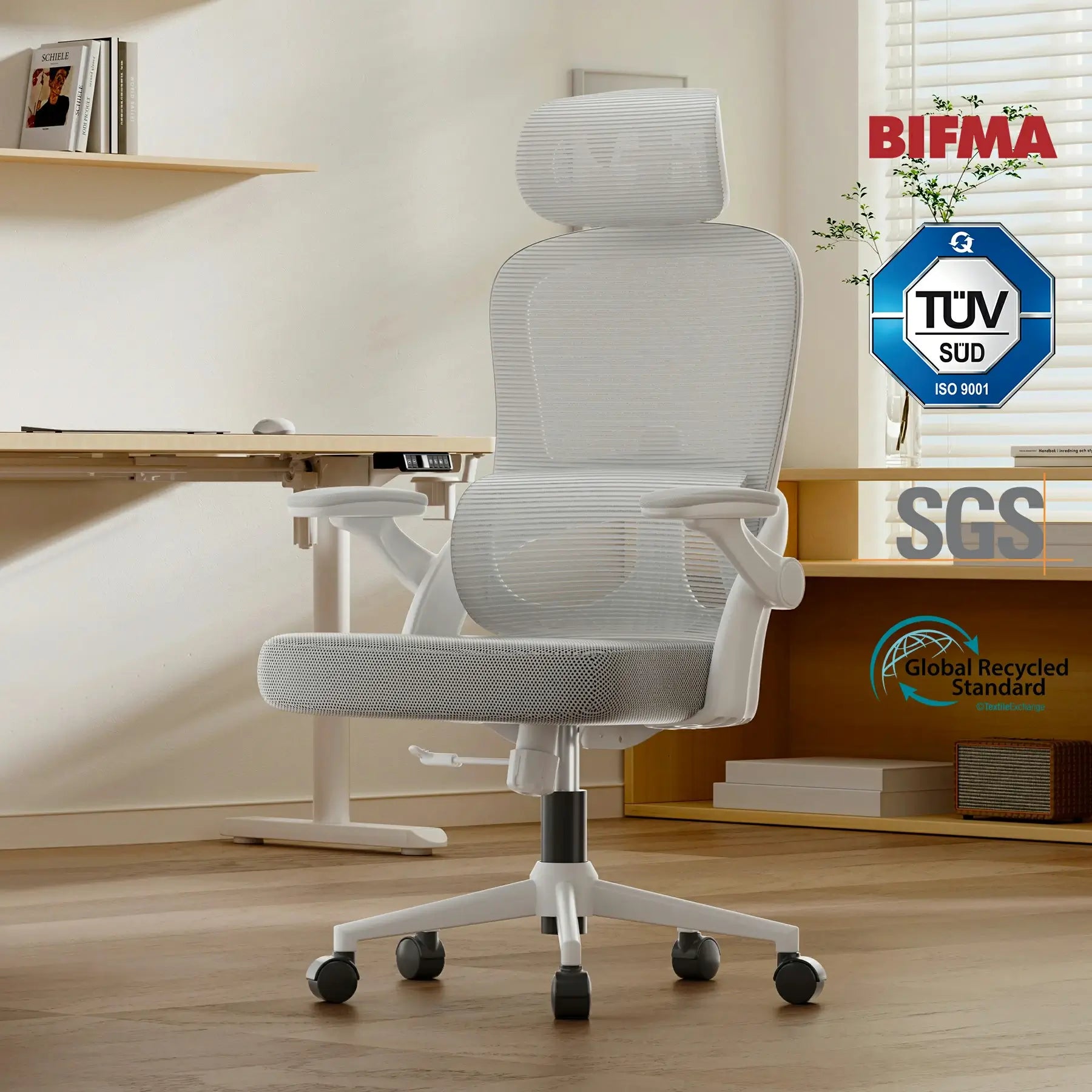 Cadeira de escritório ergonômico do Sihoo M102C com suporte lombar de próximo nível