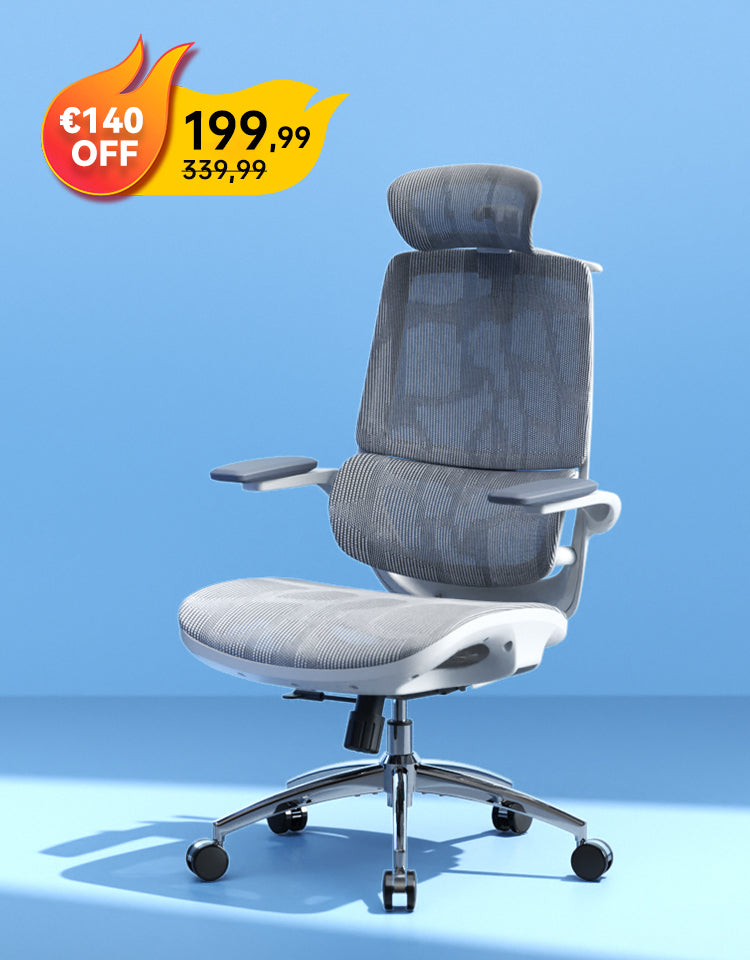 Sihoo M59AS Office Chair