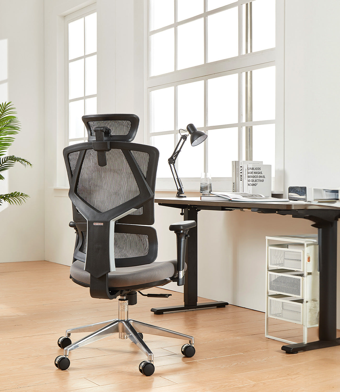 Moojirs ergonomic store office chair