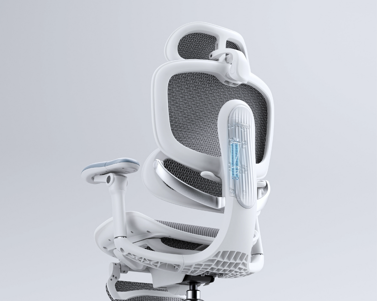 Dynamic Back Support